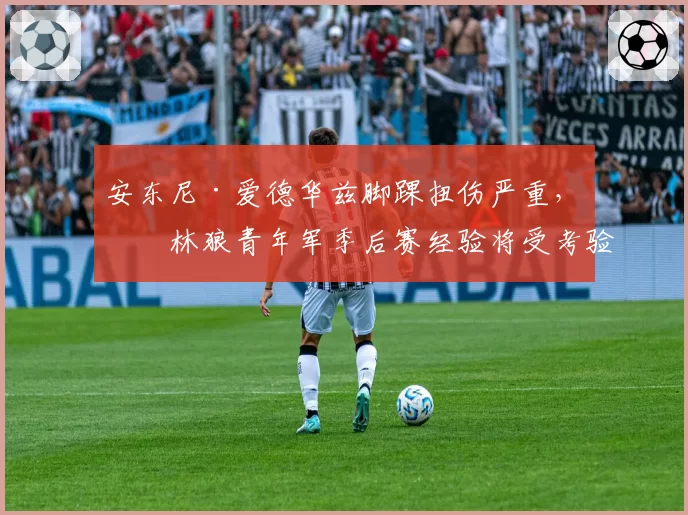 安东尼·爱德华兹脚踝扭伤严重，森林狼青年军季后赛经验将受考验？