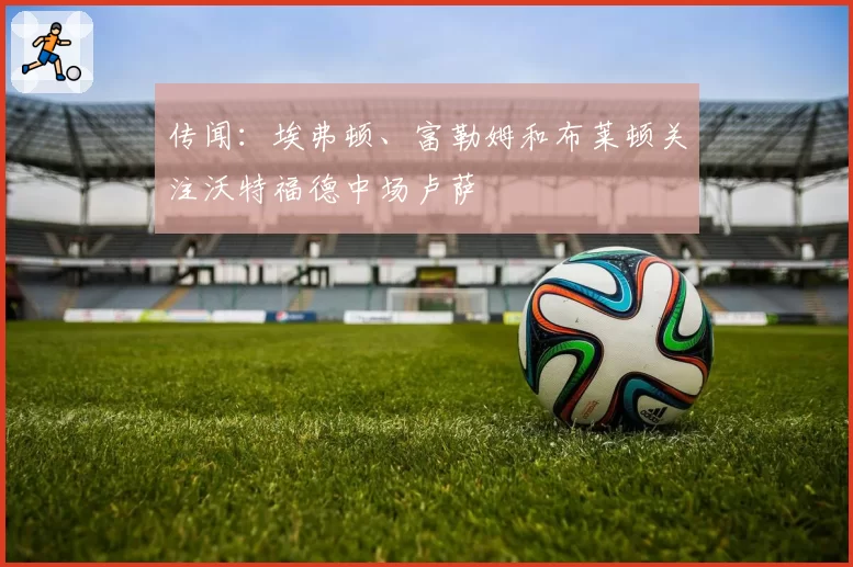 传闻：埃弗顿、富勒姆和布莱顿关注沃特福德中场卢萨