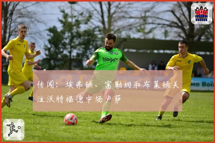传闻：埃弗顿、富勒姆和布莱顿关注沃特福德中场卢萨