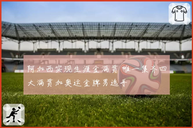 阿加西实现生涯金满贯 唯一集齐四大满贯加奥运金牌男选手