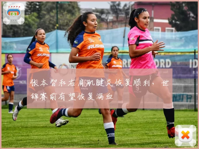 张本智和右肩肌腱炎恢复顺利，世锦赛前有望恢复满血