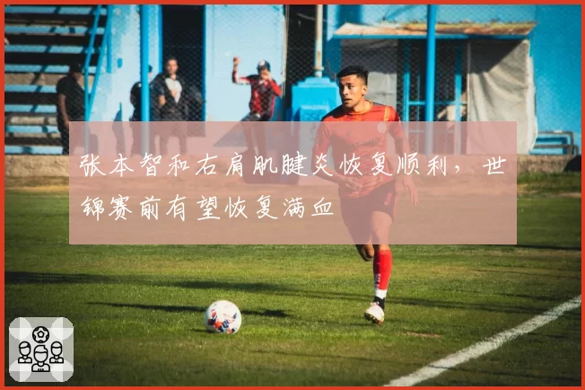 张本智和右肩肌腱炎恢复顺利，世锦赛前有望恢复满血