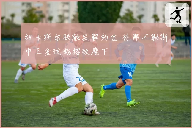 纽卡斯尔联触发解约金 将那不勒斯中卫金玟哉招致麾下